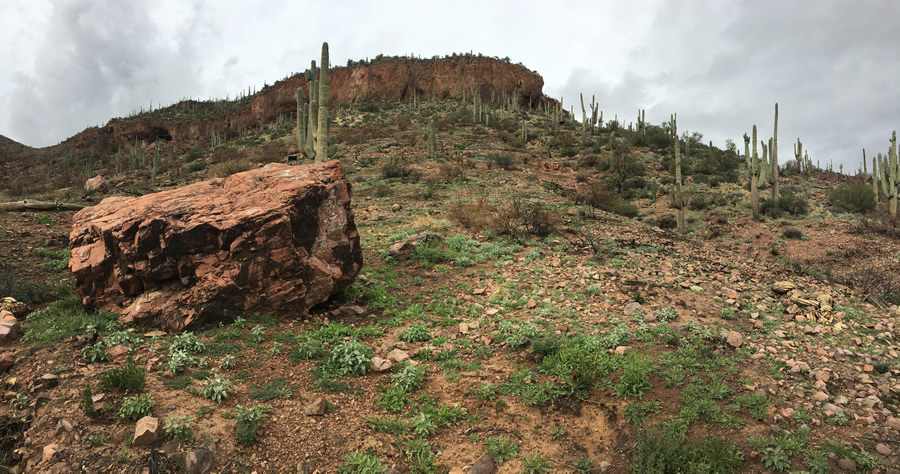 Tonto National Monument